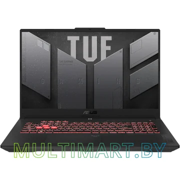 Игровой ноутбук ASUS TUF Gaming A17 2023 FA707NUR-HX057 (90NR0JL5-M002W0)